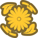 菊
