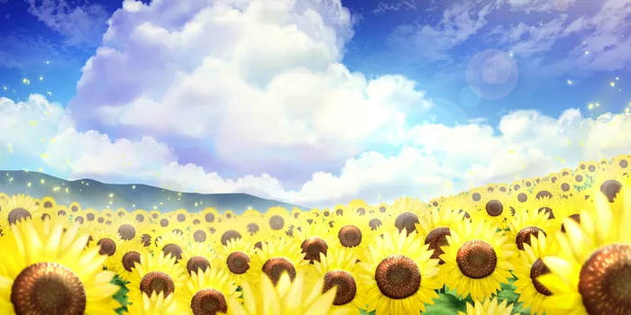 绘卷「太阳花田」卡面