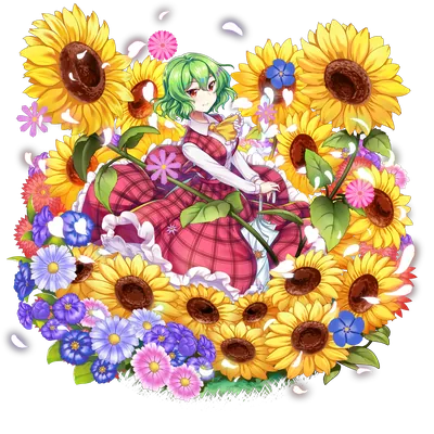 伙伴「风见幽香」立绘